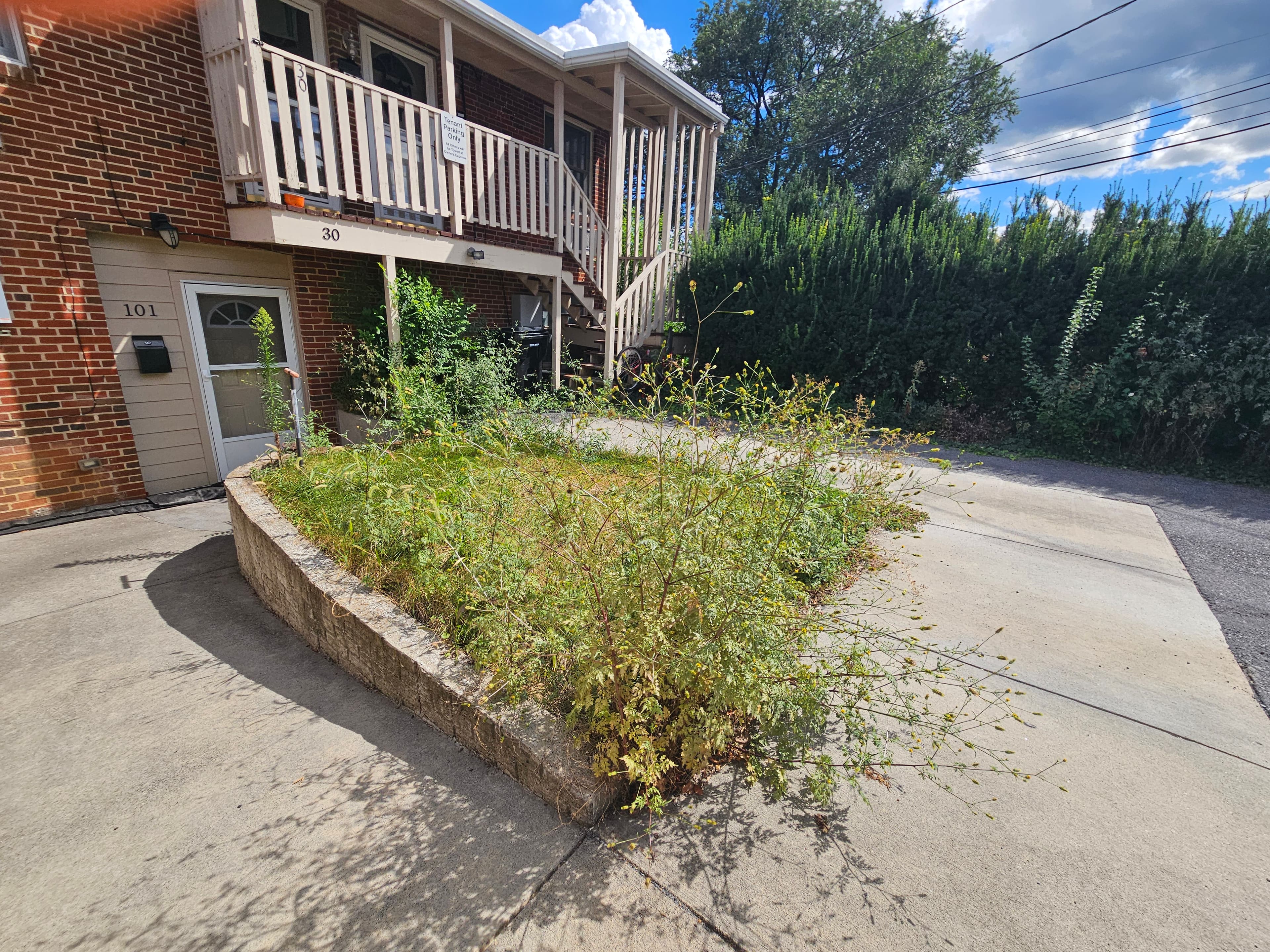 Lawn Mowing & Maintenance before