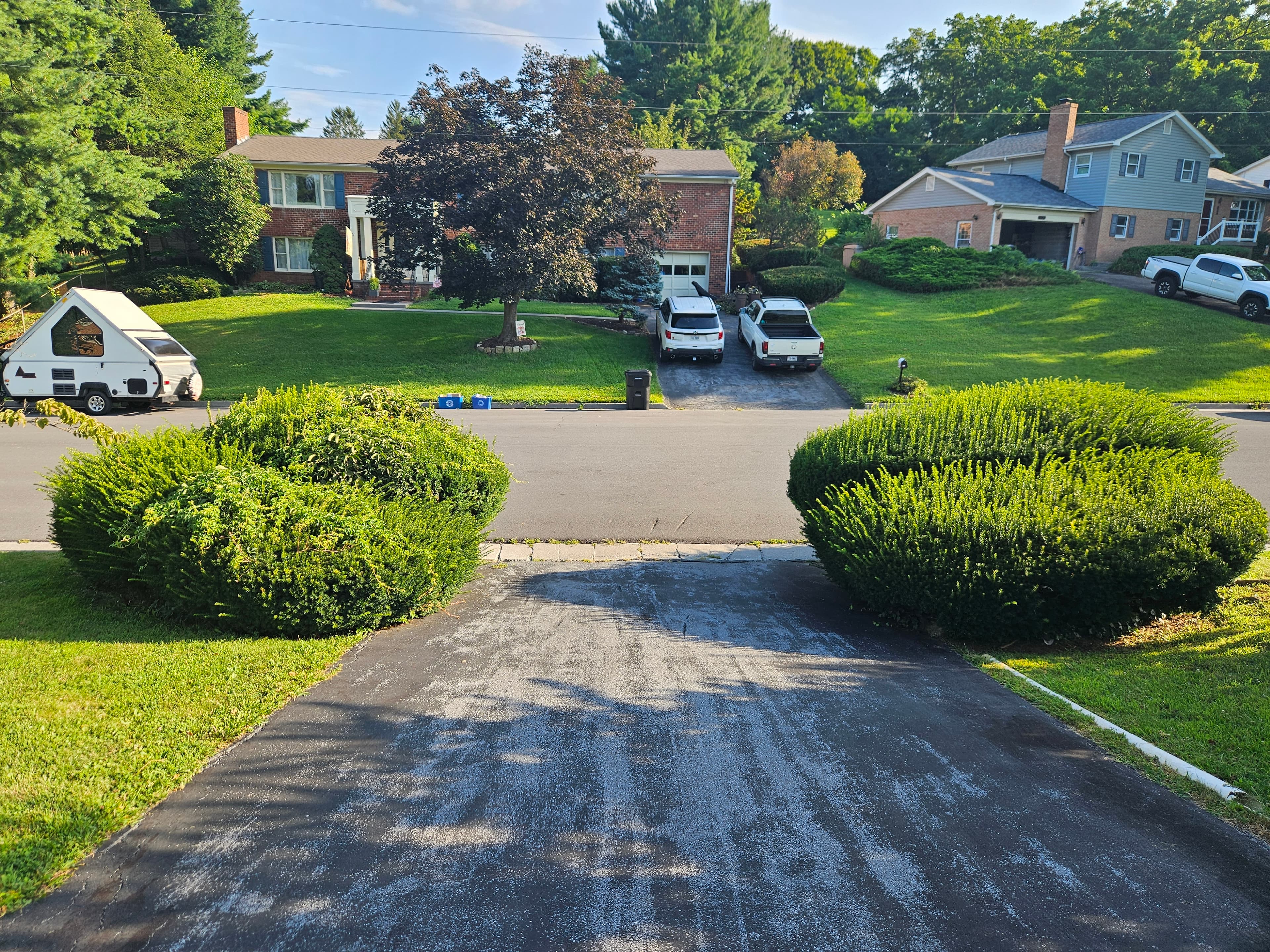 Hedge & Tree Trimming before